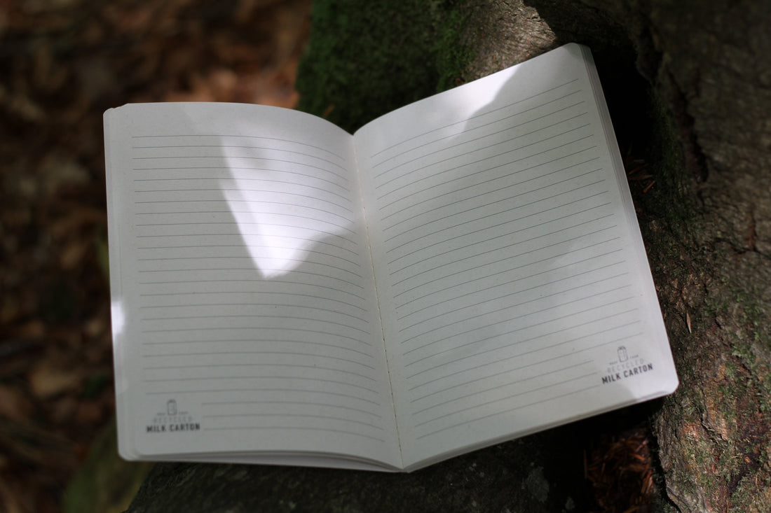 Carnet créatif fabriqué à partir de briques de lait recyclées, compagnon des Promenades Pleine Conscience Créatives dans le Bois du Breuil.