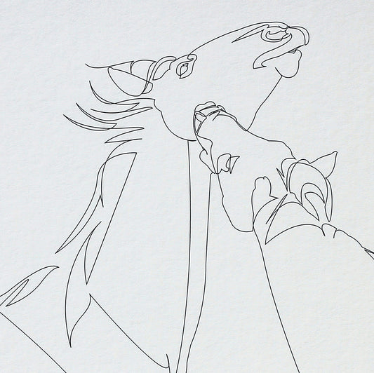 Memento vivere - Tirage A3