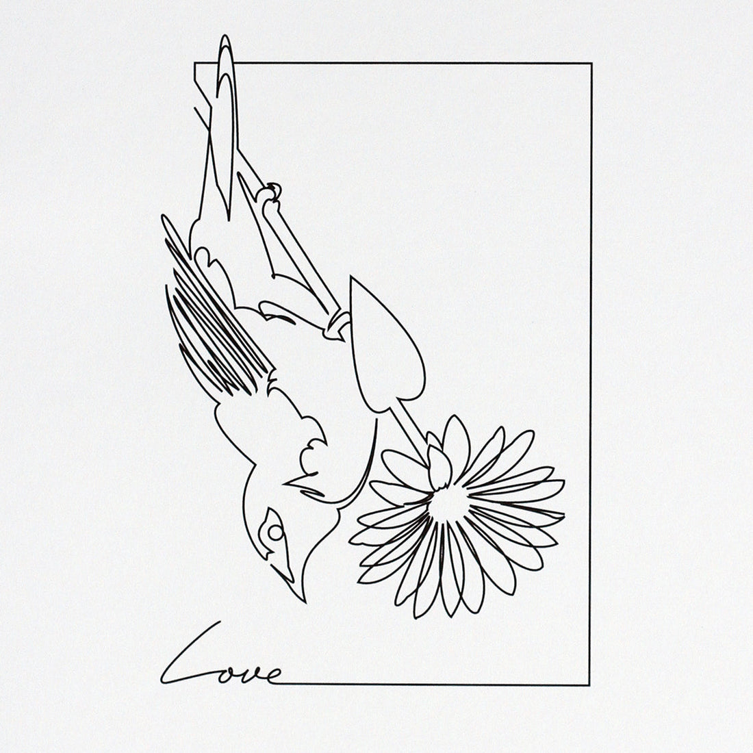 Un an de pratique professionnelle du one-line drawing